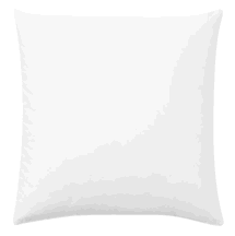 Online Designer Living Room 22" Pillow Insert