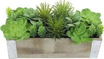 Online Designer Living Room Artificial Planterted Mixed Desktop Succulent Plant in Planter