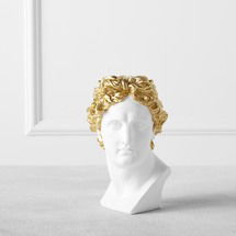 Online Designer Living Room Small David Bust With Gold Hair  (Wooden Shelves Decor)