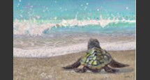 Online Designer Bedroom Baby Sea Turtle Wall Art