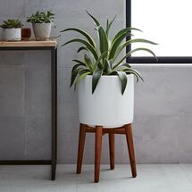 Online Designer Hallway/Entry Mid-Century Turned Leg Standing Planters - Solid