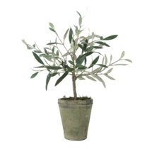 Online Designer Kitchen Faux Potted Charleston Olive Tree 