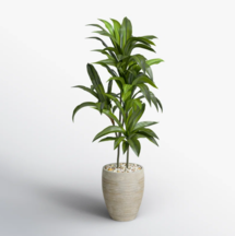 Online Designer Bedroom Silvie 48'' Faux Foliage Plant in Ceramic Planter