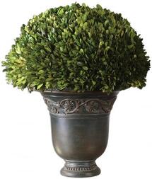 Online Designer Dining Room PRESERVED BOXWOOD GLOBE TOPIARY