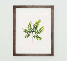 Online Designer Living Room Botanical Art - Print ONLY