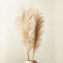 Online Designer Combined Living/Dining FAUX PAMPAS GRASS TAUPE STEM 39" SET OF 3