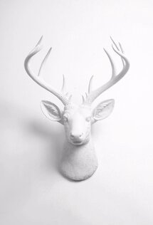 Online Designer Living Room The XL Templeton | Modern Stag Deer Head Wall Mount | Fake Taxidermy