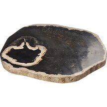 Online Designer Living Room ring petrified wood serving board