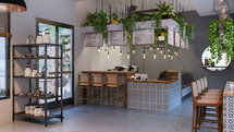 Online Designer Business/Office 3D Model