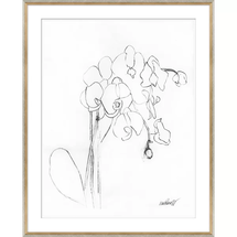 Online Designer Living Room ORCHID STUDIES' FRAMED DRAWING PRINT