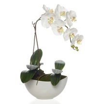 Online Designer Combined Living/Dining Faux Potted Phalaenopsis