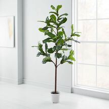 Online Designer Living Room Faux Potted Fiddle Leaf Fig Plants