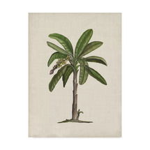 Online Designer Other 'British Palms II' Print on Wrapped Canvas