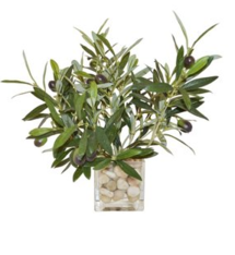 Online Designer Combined Living/Dining 12" Olive Branches in Cube Vase, Faux