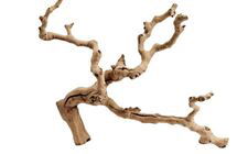 Online Designer Combined Living/Dining Dried Grapewood Branch, Natural, One