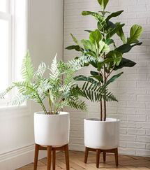 Online Designer Living Room Mid-Century Turned Leg Standing Planters - Solid