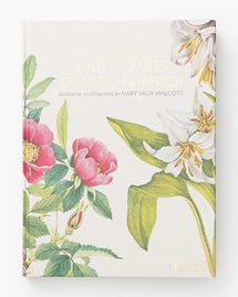 Online Designer Hallway/Entry Wild Flowers of North America Book