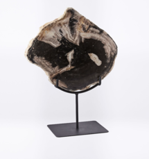 Online Designer Kitchen Petrified Wood Object on Stand, Large