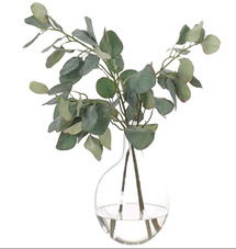 Online Designer Living Room Eucalyptus in Glass Vase