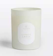 Online Designer Living Room LINNEA Candle