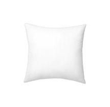 Online Designer Living Room Pillow insert