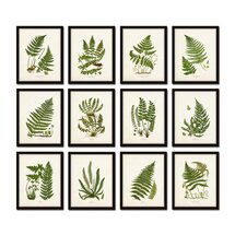 Online Designer Bedroom Vintage Ferns Print Set No. 35