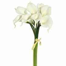 Online Designer Other Calla Lily Bundle Stem