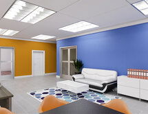 Online Designer Business/Office 3D Model