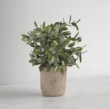 Online Designer Living Room 11.5'' Faux Eucalyptus Plant in Ceramic Pot
