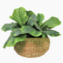 Online Designer Living Room 15'' Faux Fiddle Leaf Fig Plant