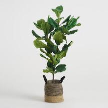 Online Designer Combined Living/Dining Faux Fiddle-Leaf Fig Plant