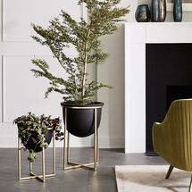 Online Designer Combined Living/Dining Eden Cross Base Standing Planter - Brass