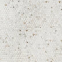 Online Designer Bathroom Alaska White 3/4" Penny round Polished Mosaic Tile
