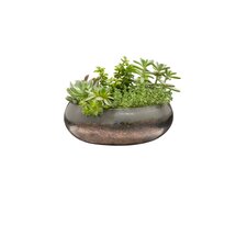 Online Designer Bedroom Crain 100% Hand Blown Art Glass Pot Planter
