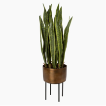Online Designer Home/Small Office Hylton 44'' Plant