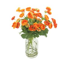 Online Designer Combined Living/Dining Ranunculus Floral Arrangement in Mason Jar