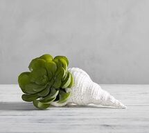 Online Designer Living Room Faux Potted Succulent In Shell