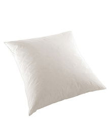 Online Designer Living Room Feather Down Pillow Insert