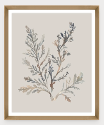 Online Designer Combined Living/Dining Water Colored Seaweed X