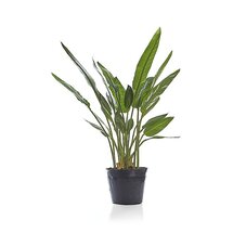 Online Designer Living Room Artificial Bird of Paradise Tree