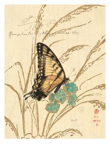 Online Designer Living Room Nature's Curiosities 1 Art Print