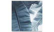 Online Designer Combined Living/Dining Botanic metal print, Banana