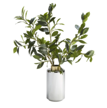 Online Designer Bedroom 209024 26'' Faux Bay Leaf Plant in Glass Decorative Vase
