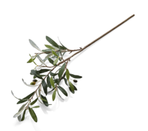 Online Designer Bedroom Faux Olive Stem