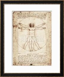 Online Designer Combined Living/Dining Vitruvian Man Art