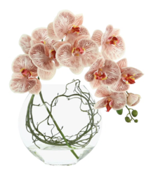 Online Designer Hallway/Entry Vibrant Blooms Polysilk Orchid Arrangement in Vase