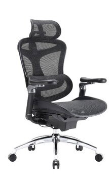 Online Designer Bedroom Doro Ergonomic Mesh Office Chair