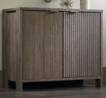 Online Designer Living Room Arik 2 Door Accent Cabinet