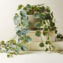 Online Designer Living Room Potted Faux Eucalyptus