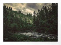 Online Designer Combined Living/Dining Pacific Northwest River